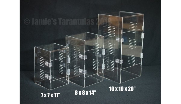 10 x 10 x 20" Adult Tarantula Cage - Cage Only -BACKORDER- WILL SHIP JUNE